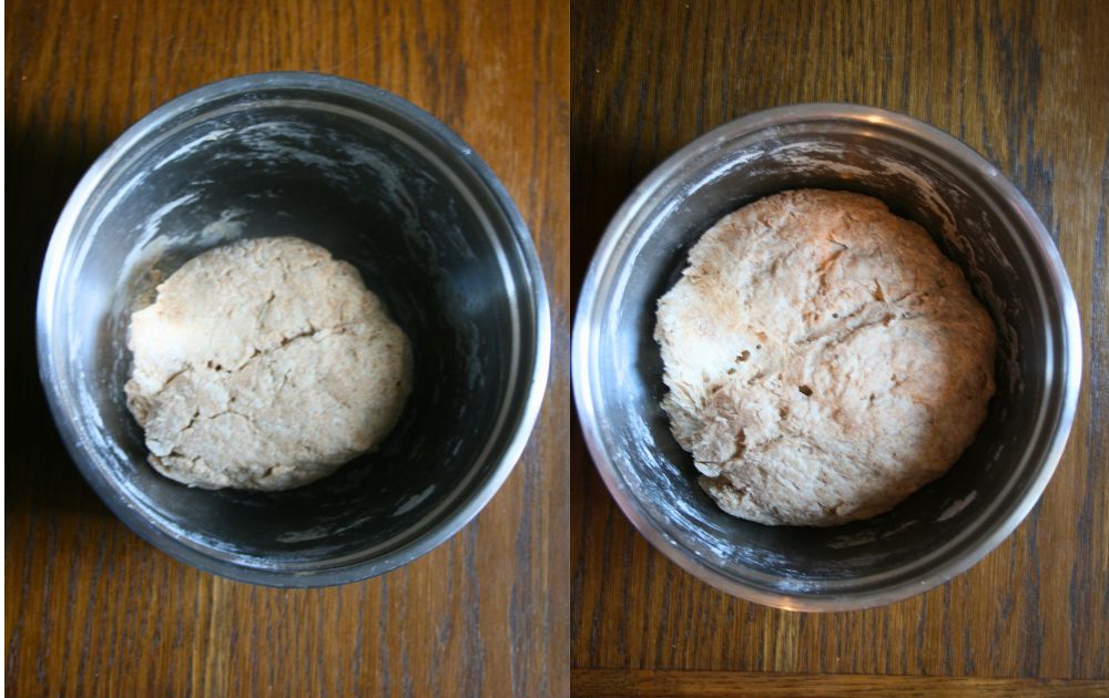 Hefeteig Vergleich nach Gehzeit