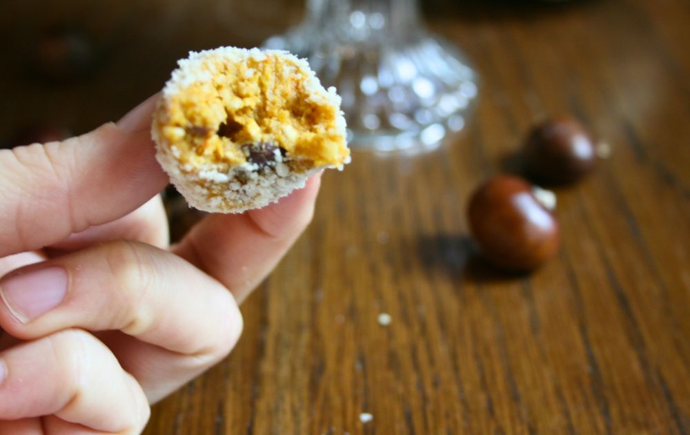 abgebissener-zuckerfreier-pumpkin-pie-energy-ball
